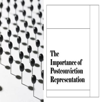 The Importance of Postconviction Representation