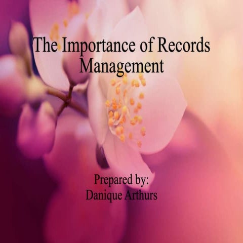 The Importance of Records Management