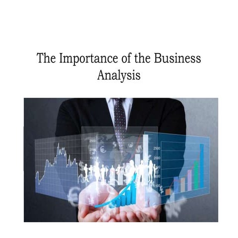 Rhealyn Villarico Mugri - The Importance of the Business Analysis 