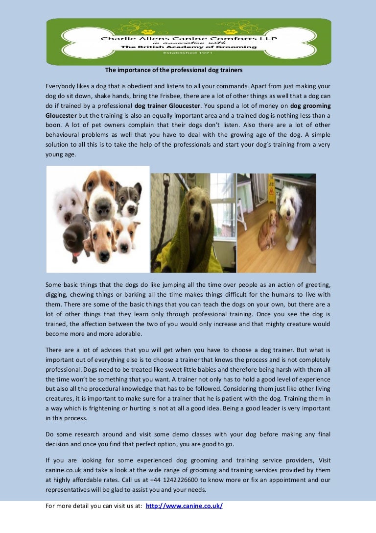 The importance of the professional dog trainers