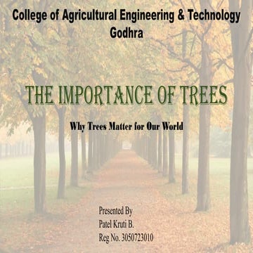 The Importance of Trees in all various field.pptx
