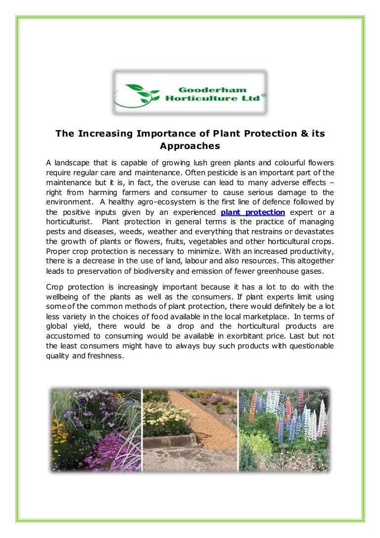 The increasing importance of plant protection & its approaches