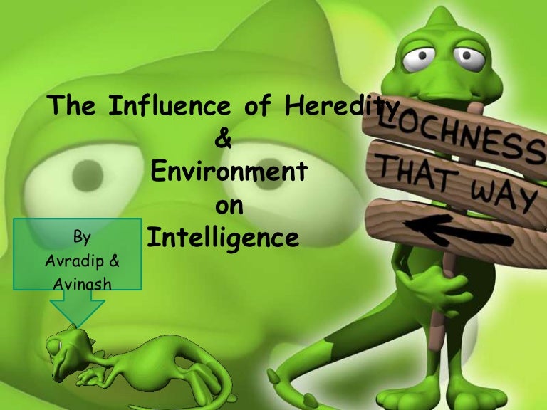 the-influence-of-heredity-and-environment-on-intelligence
