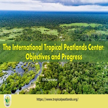 The International Tropical Peatlands Center: Objectives and Progress