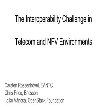 The Interoperability Challenge in Telecom and NFS Environments