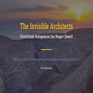 The Invisible Architects: Protecting the Negev Desert's Microbial Hotspots