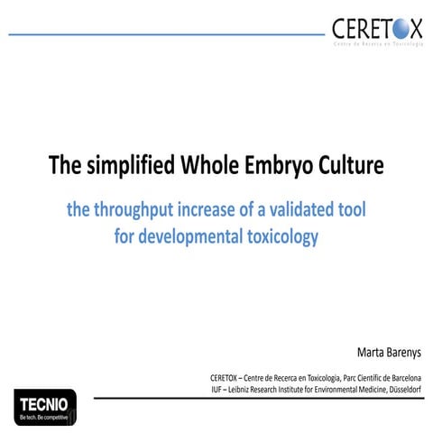 The in vitro choice m barenys iuf_2013