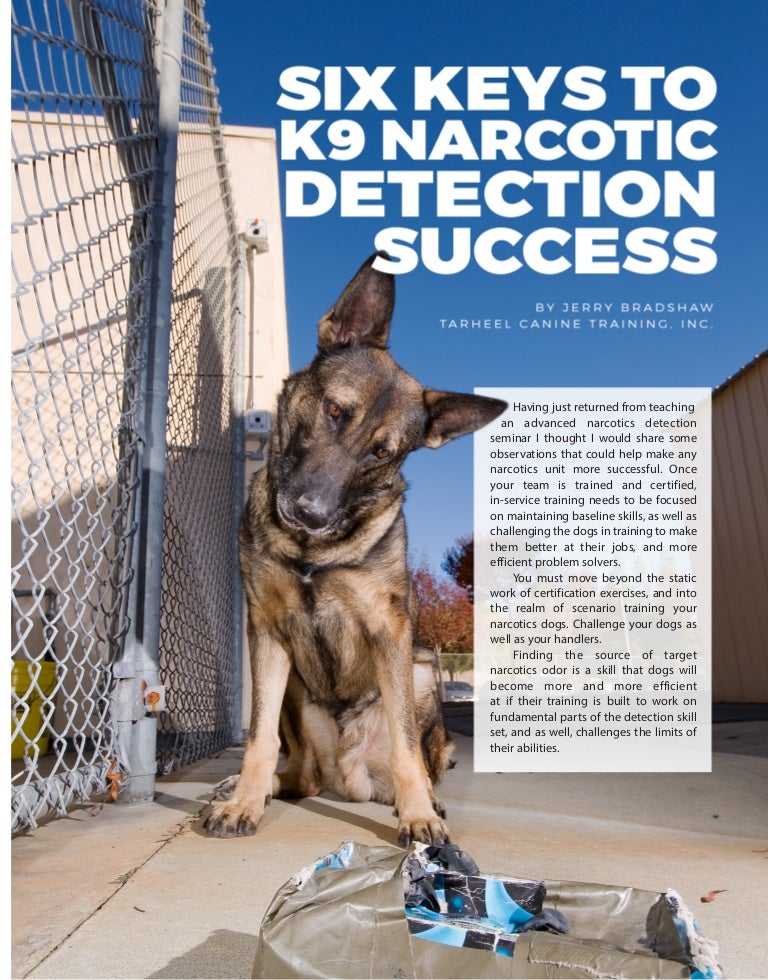 k9 heights dog training