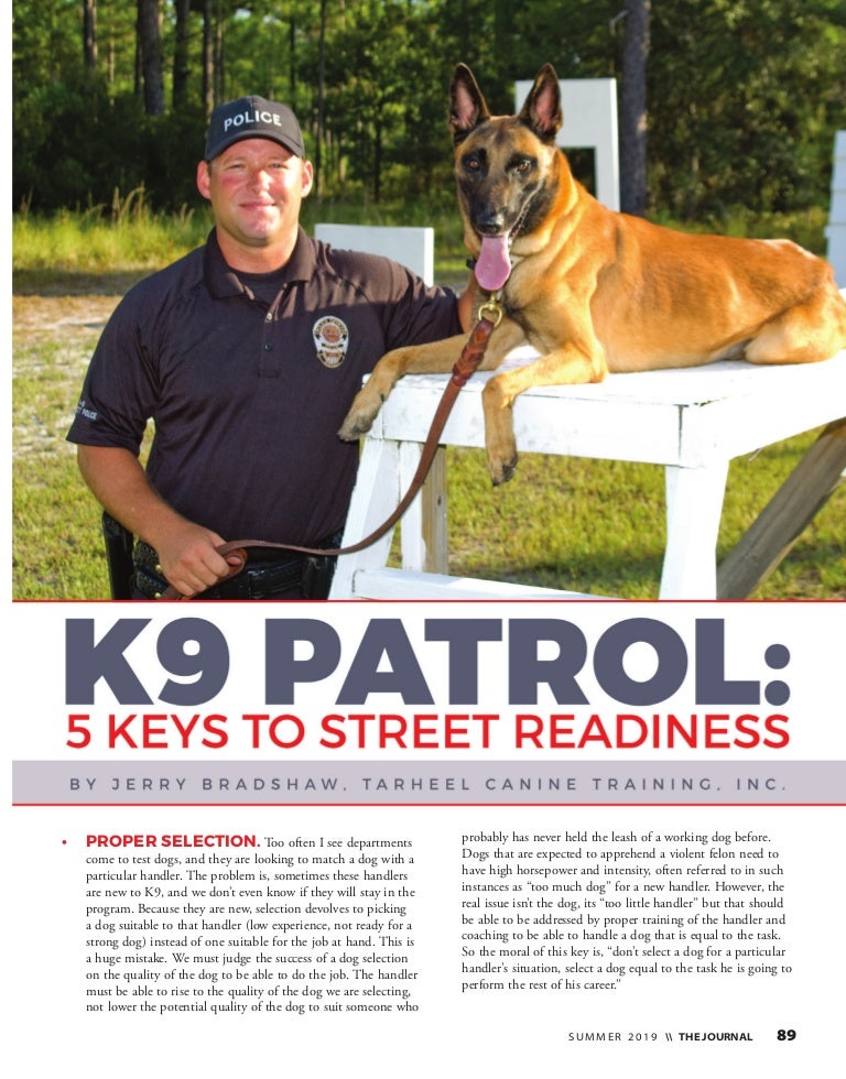 k9 heights dog training