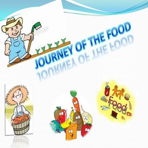 The journey of food