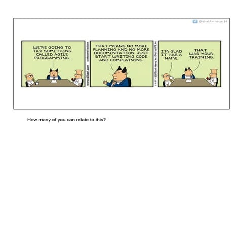 The Journey to Agile - Case Study on a Waterfall to Agile Transformation Project