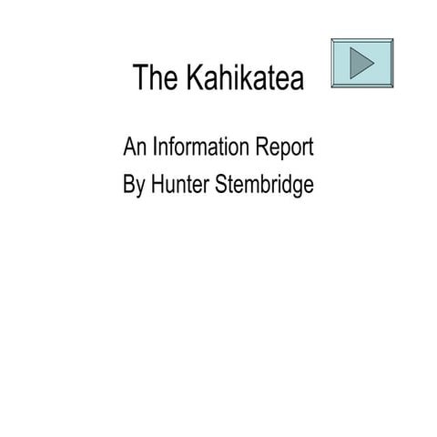 The kahikatea