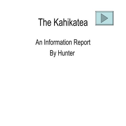 The kahikatea