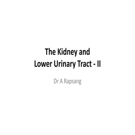 The Kidney II.pdf pathology slides part 2