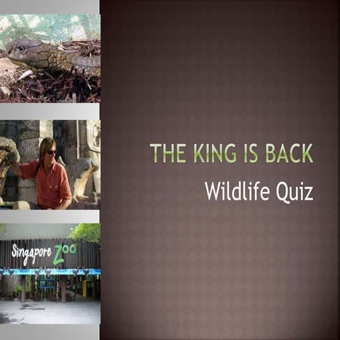 CQC Wildlife Quiz by Jeevesh