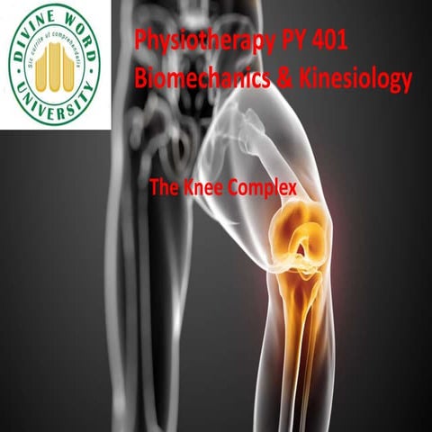 The Knee Complex