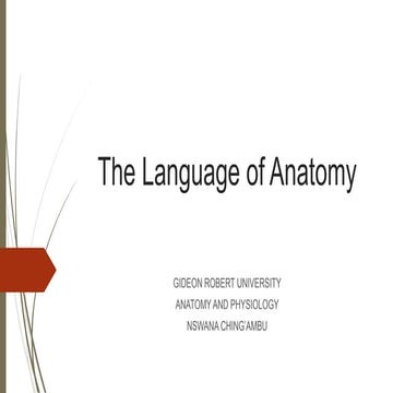The language of anatomy.pdf