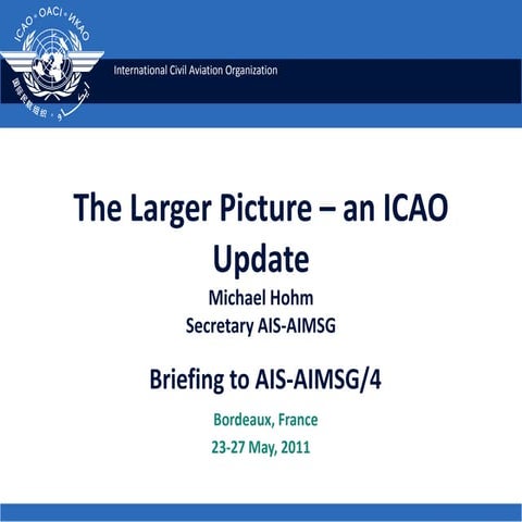 The larger picture – an icao update