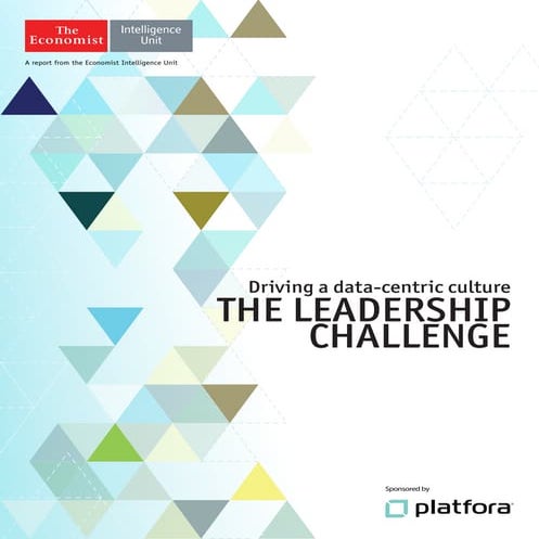Driving a data-centric culture
