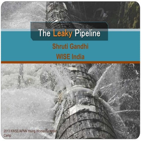 The Leaky Pipeline