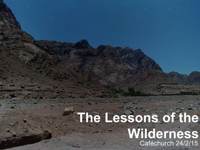 The Lessons of the Wilderness