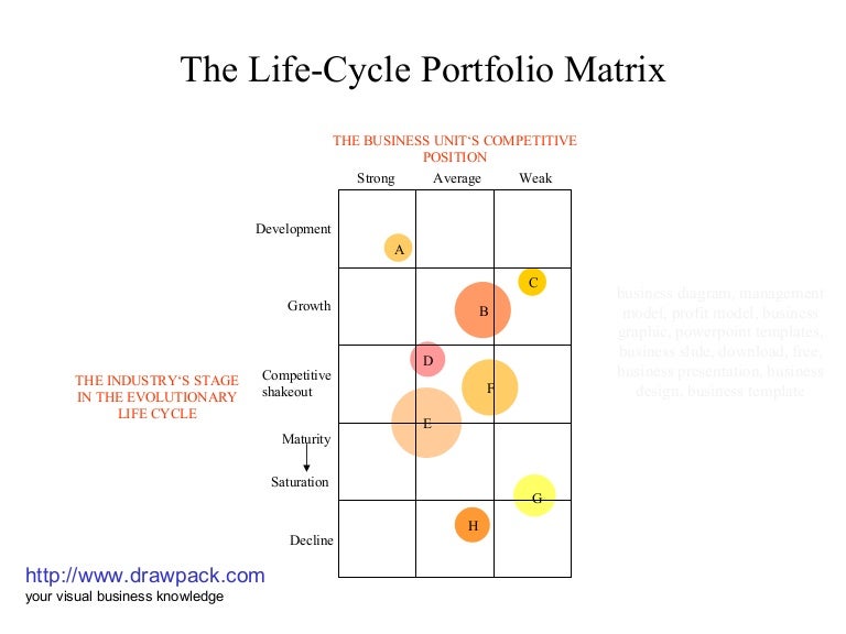 The life cycle portfolio matrix