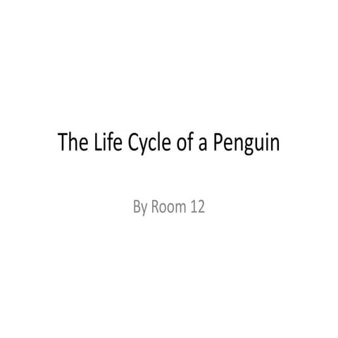 The life cycle of a penguin