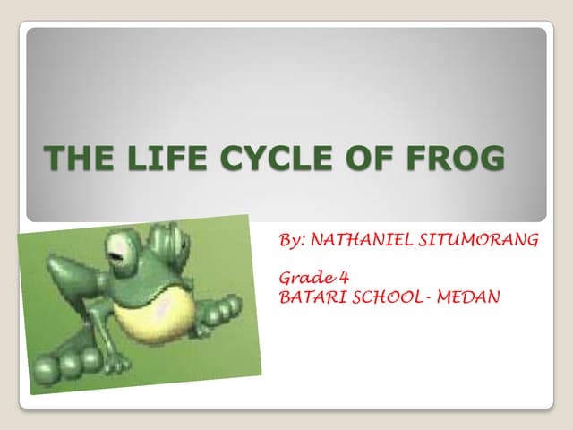 The life cycle of frog by Nathaniel Situmorang