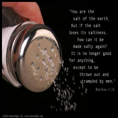 The Life in Christ Salt of the earth