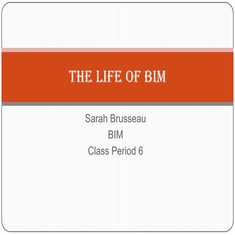 The Life of BIM 