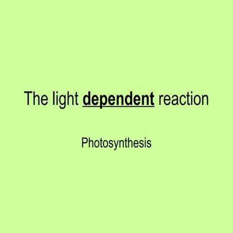 The light dependent reaction