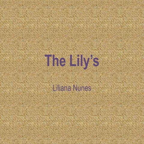 The lily’s