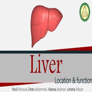 The liver anatomy and physiology