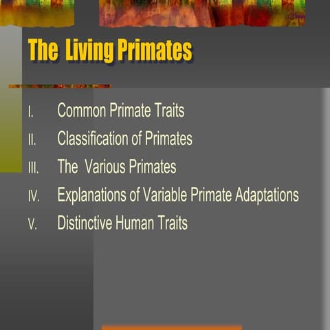 The living primates