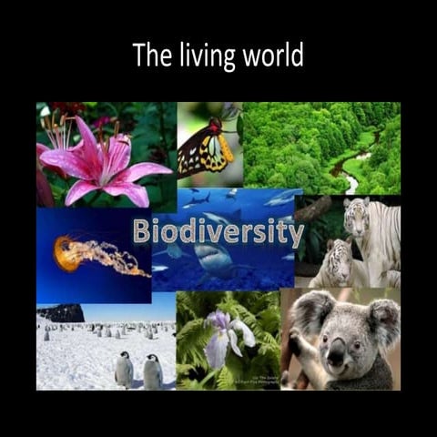 The living world