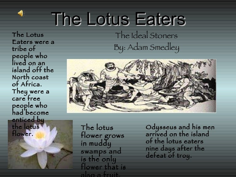 The Lotus Eaters Adam Smedley