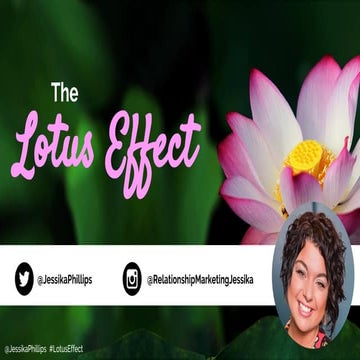 The Lotus Effect 