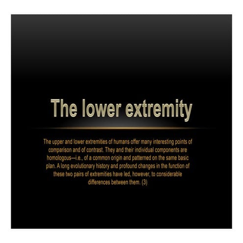 The lower extremity1