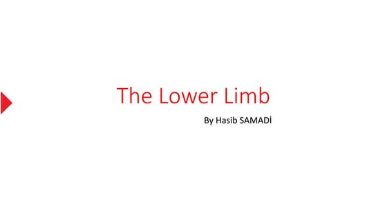 Anatomy and physiology of tibia and fibula tibia | DOC