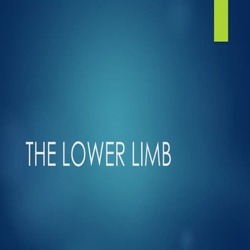 THE GROSS ANATOMY OF THE LOWER LIMB AND ANATOMICAL AREAS
