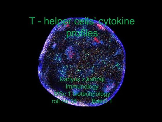 T Follicular Helper Poster 100608 | PPT