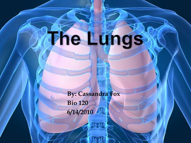 The lungs presentation ch.2