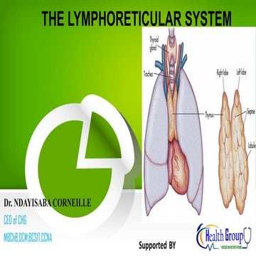 THEPHYSIOLOGY: LYMPHORETICULAR SYSTEM.pdf