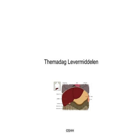 Themadag Levermiddelen