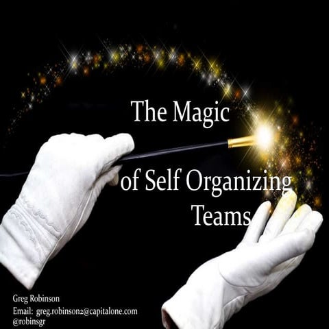 The Magic of Self Organizing Teams