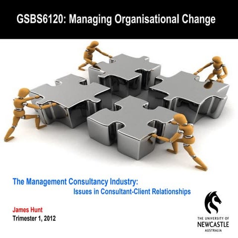 The Management Consultancy Industry