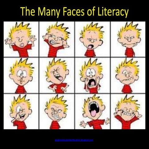 The many faces of literacy