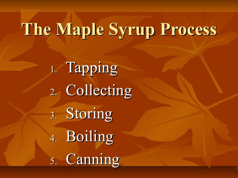 The Maple Syrup Process at Johnson Sugar Camp