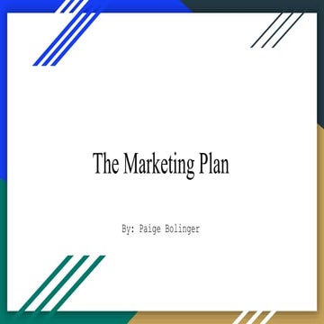 The marketing plan