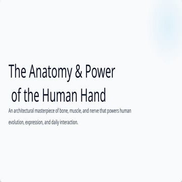 The Anatomy and Functional Power of the Human Hand: Structure, Movement ...